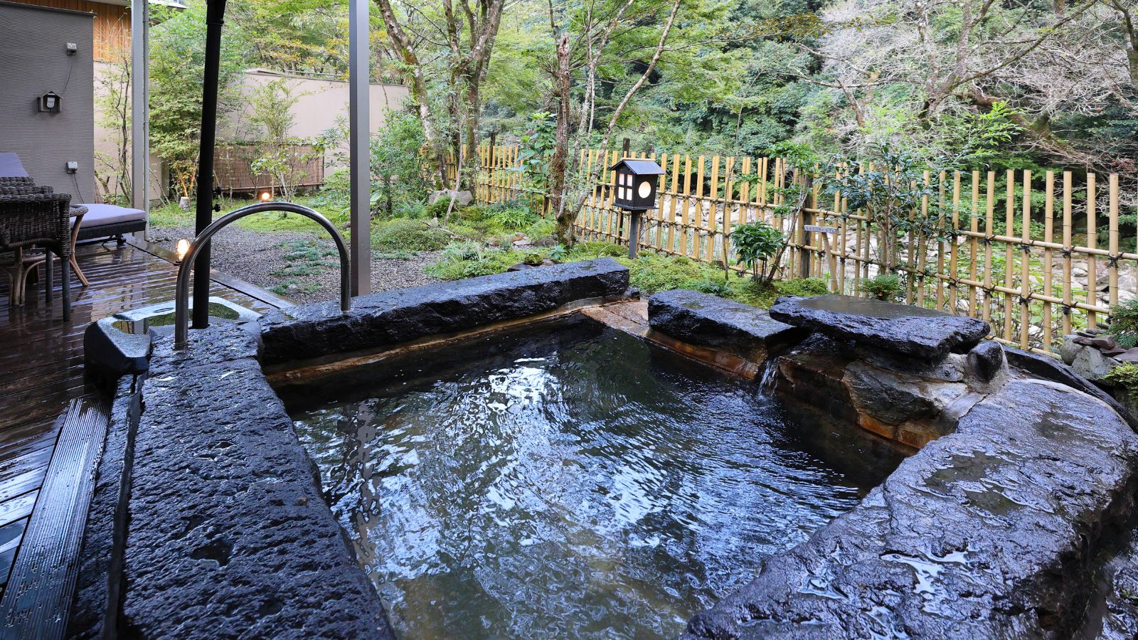 ジュニアスイート蝶