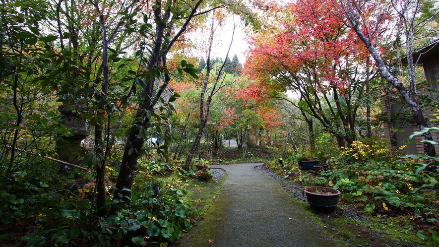 紅葉　敷地内の様子