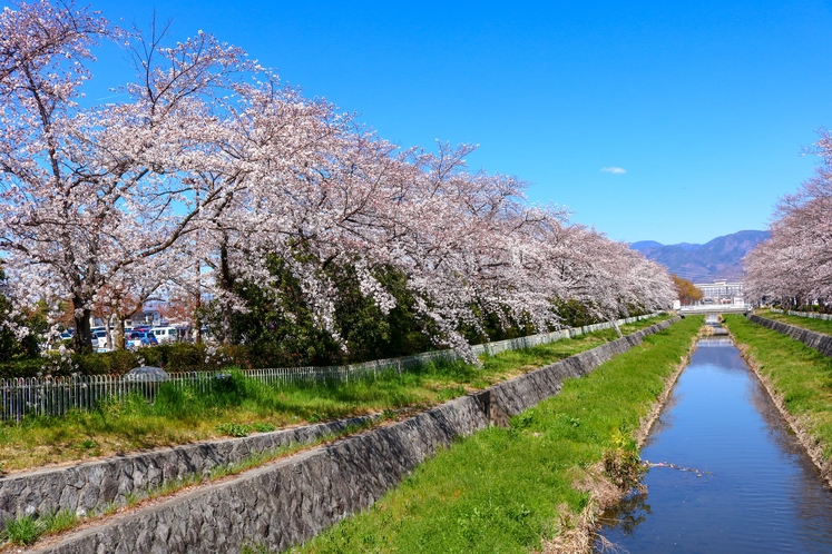 小瀬スポーツ公園