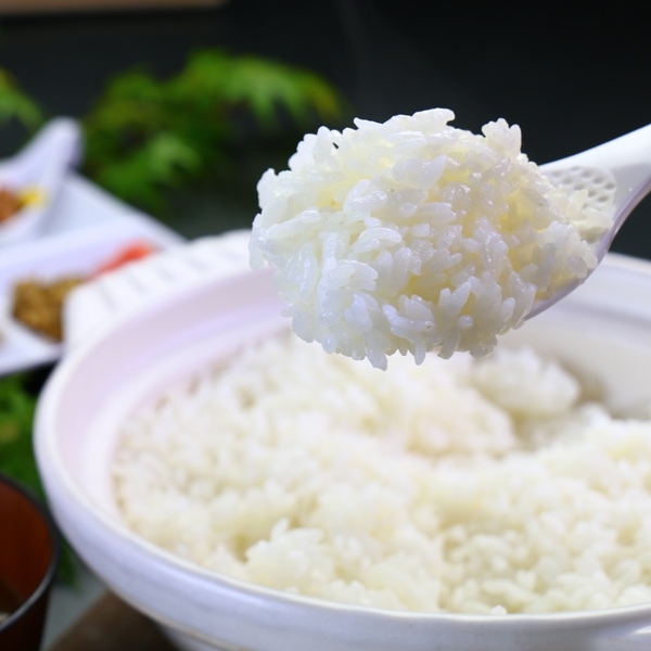 〜朝食のみプラン〜１泊朝食付き