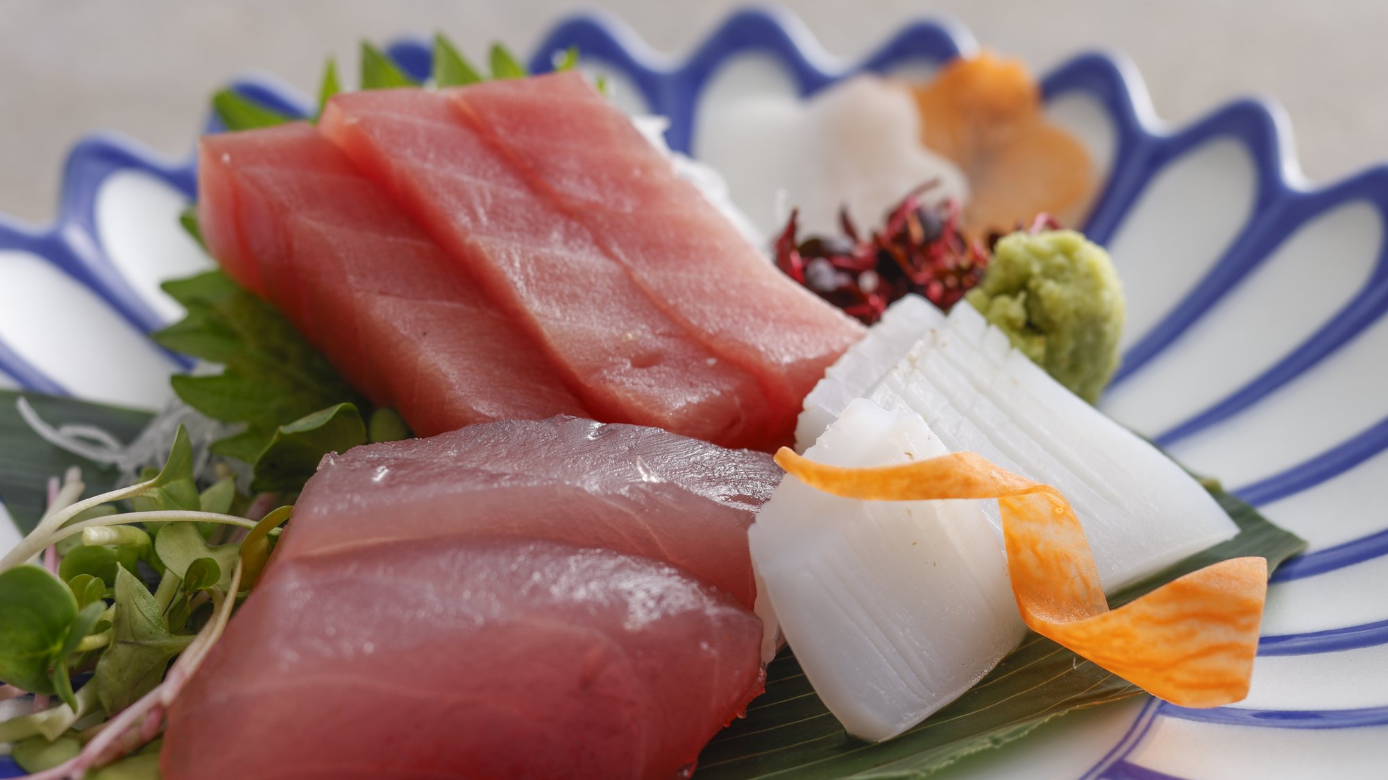 【季節の会席】春(2026年3月～5月)お造り　勝浦水揚げ生まぐろ2種　あおりいか炙り