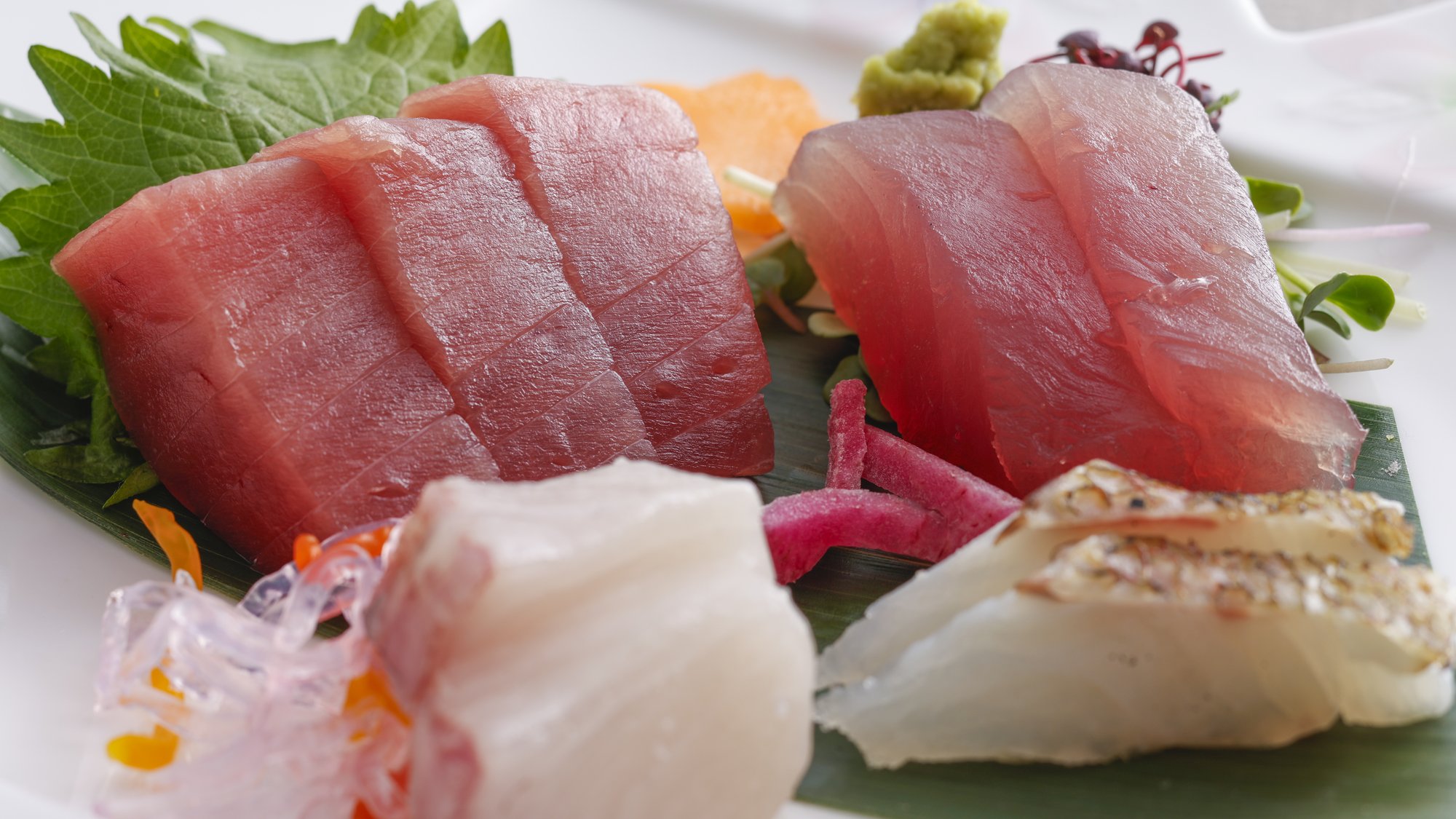 【土地の恵み】春(2026年3月～5月)お造り　勝浦港水揚げ生まぐろ2種と紀州産本日の水揚げ2種