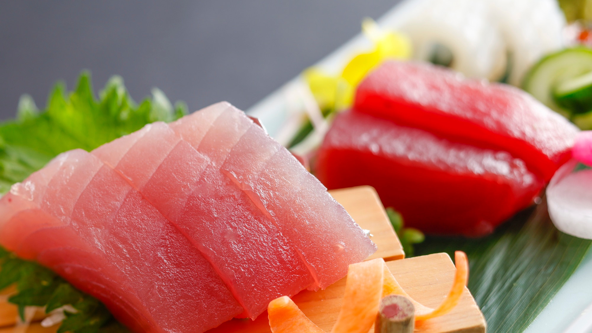 【季節の会席】夏(2026年6月～8月)お造り　勝浦水揚げ生まぐろ2種　あおりいか炙り