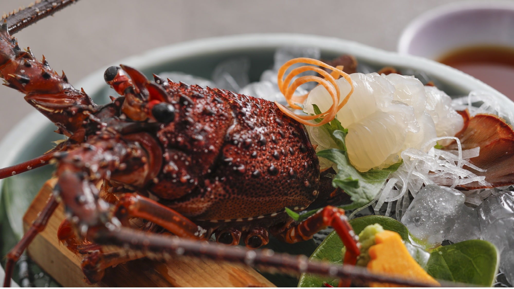 【特別会席】2025年9月～11月