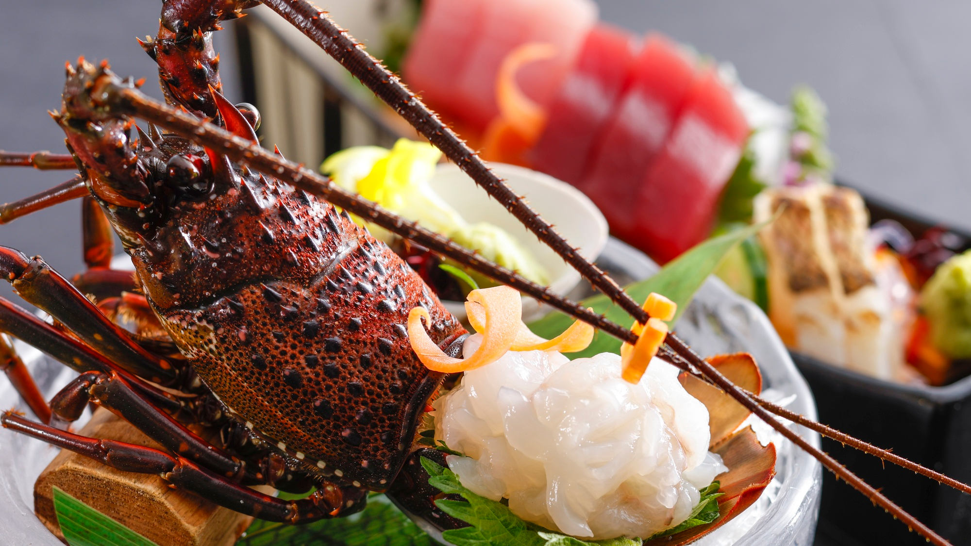 【特別会席】夏(2026年6月～8月)お造り　伊勢海老姿付4種盛り