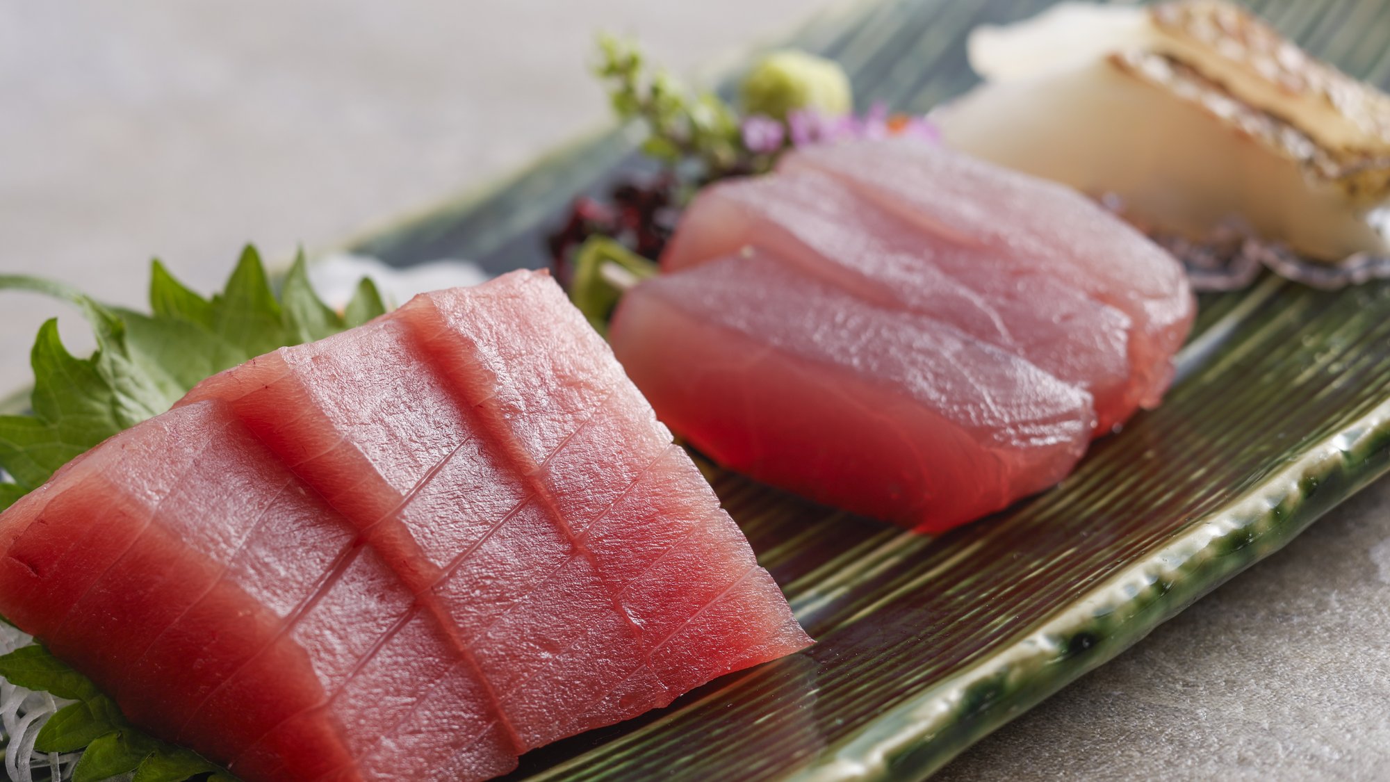 【特別会席】春(2026年3月～5月)お造り　伊勢海老姿付4種盛り