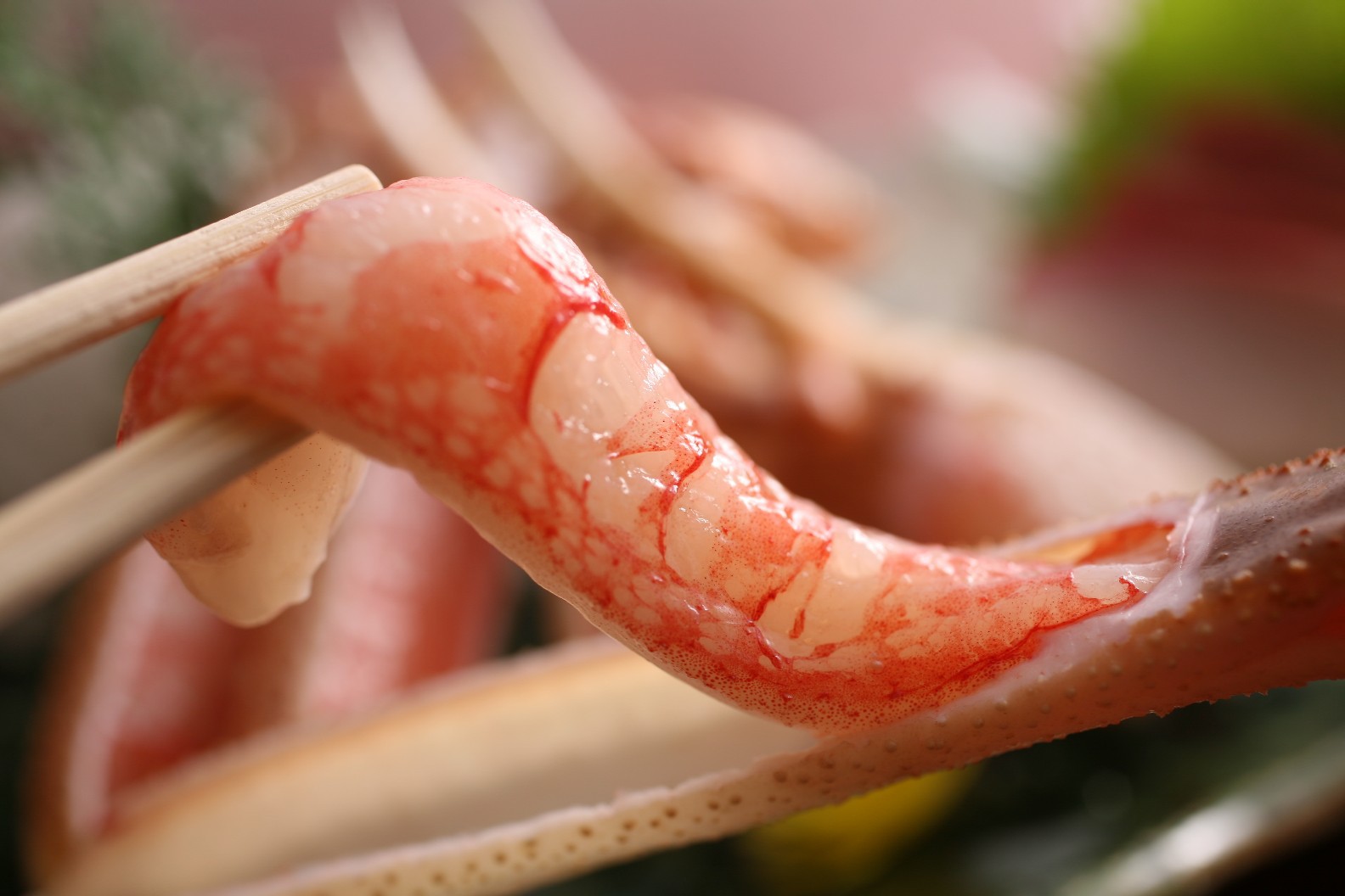 【月曜〜木曜限定】必要なものだけを厳選！洗練の最安プラン『カニ２匹使用』のカニコース