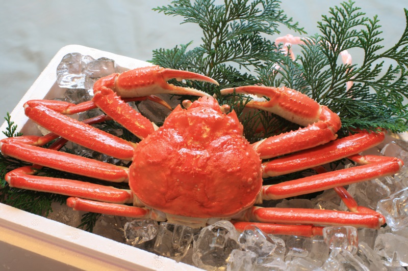 【平日特典◆茹でガニ１匹お土産付】夕食もカニ３匹使用の舟盛付カニフルコース！カニ好き必見の贅沢プラン