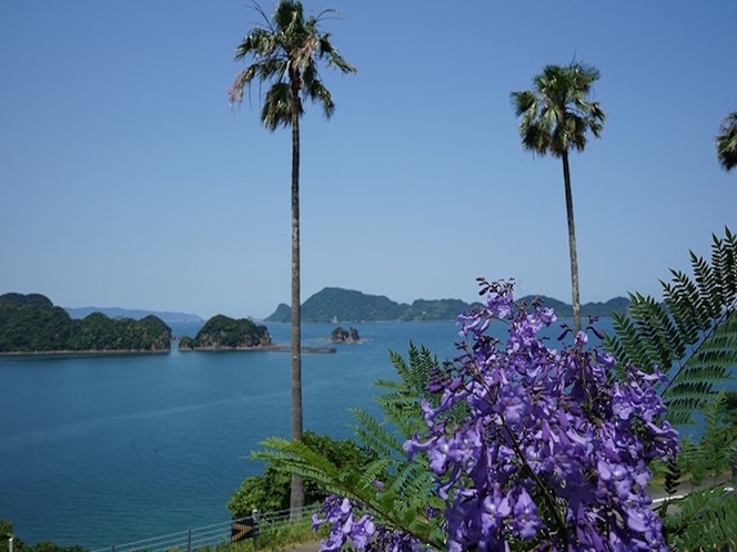 南郷の海とジャカランダ