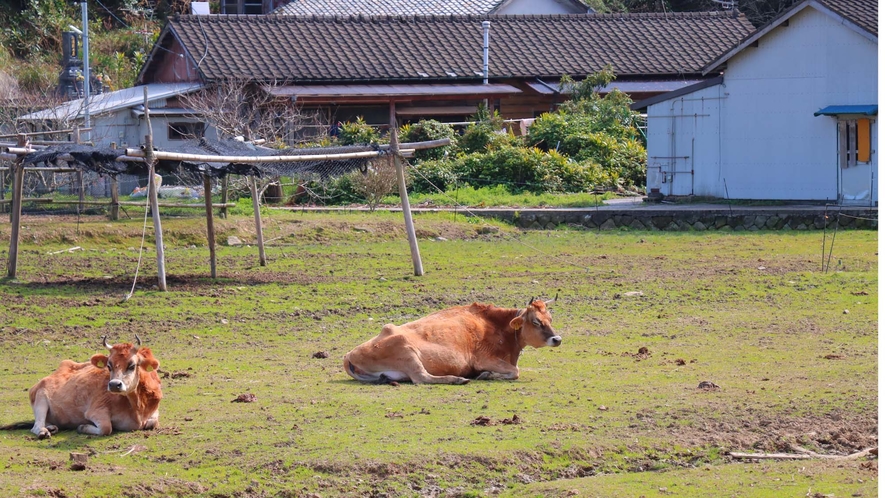 牧場