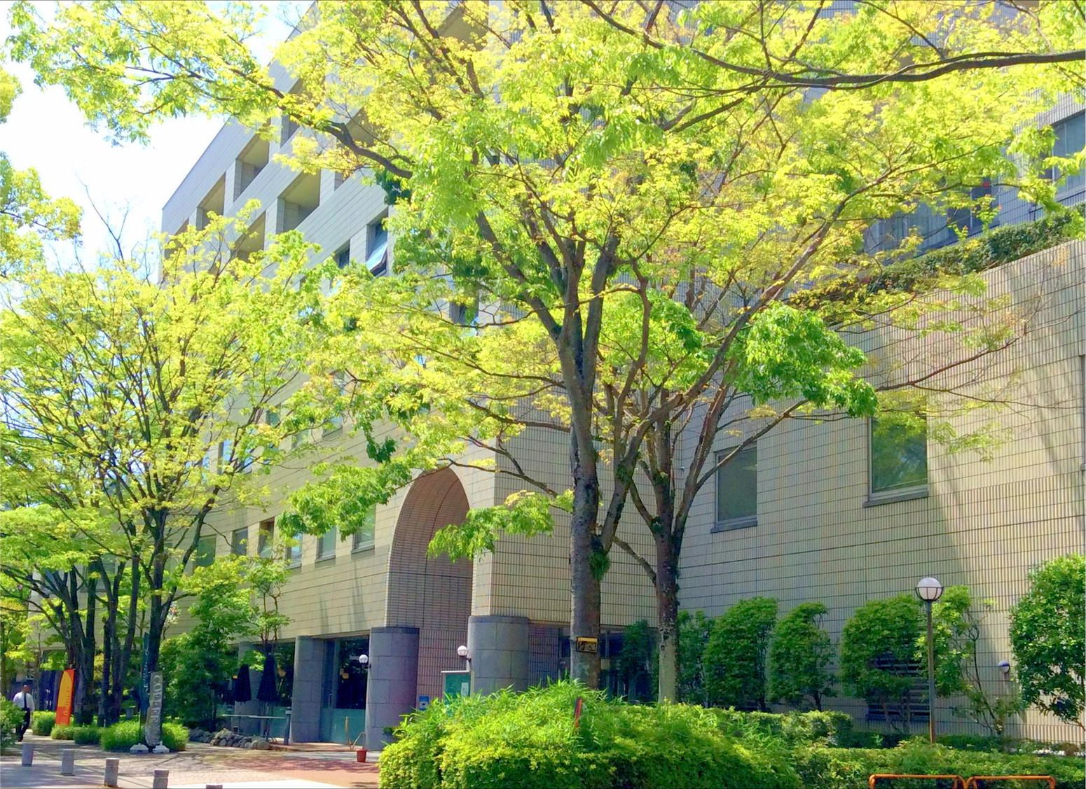 もくせい会館 静岡 ホテル 宿泊予約 楽天トラベル