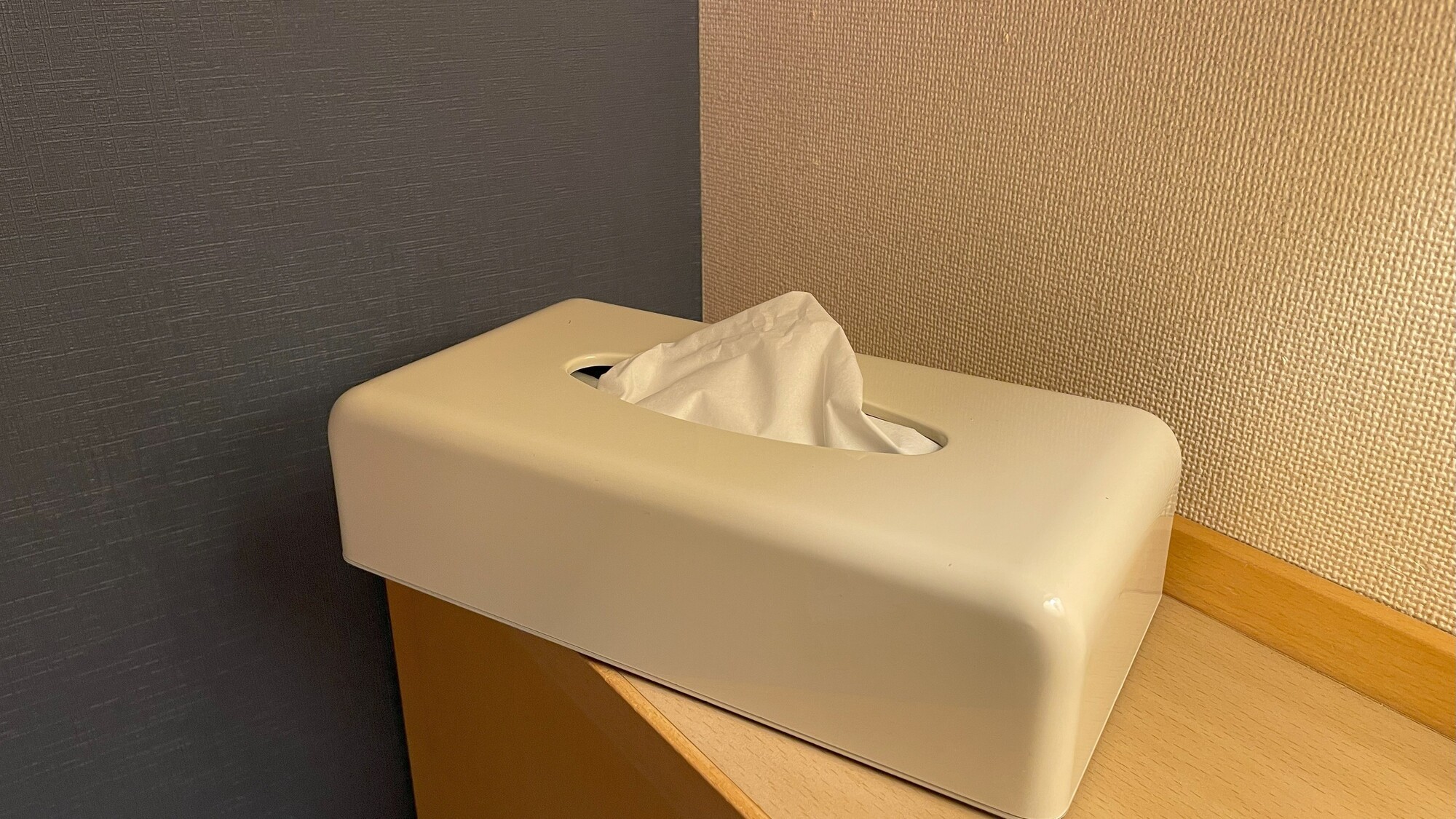 ティッシュはレギュラーサイズで使いやすい