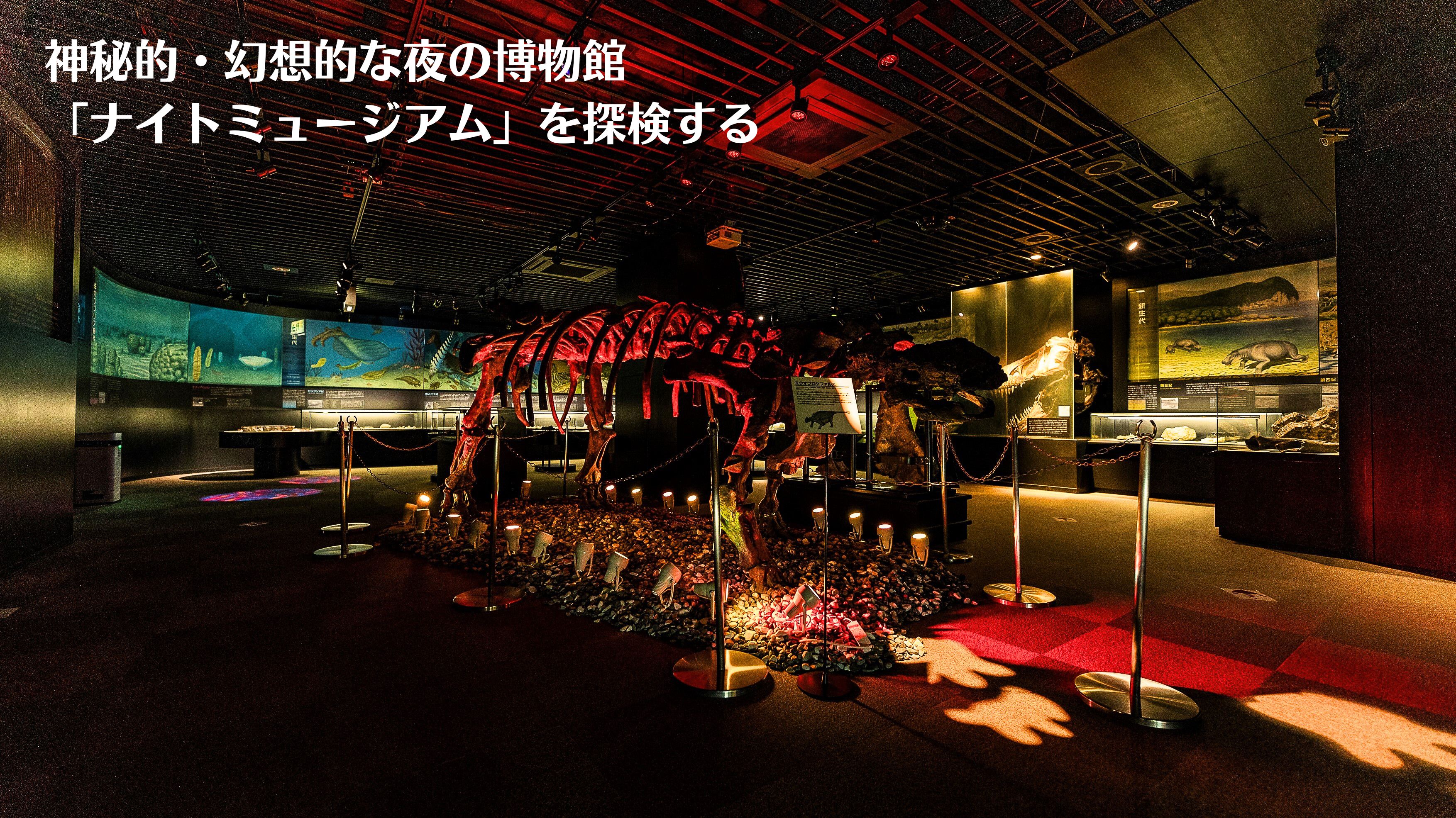 宿泊者様限定！毎日19時～21時はナイトミュージアム