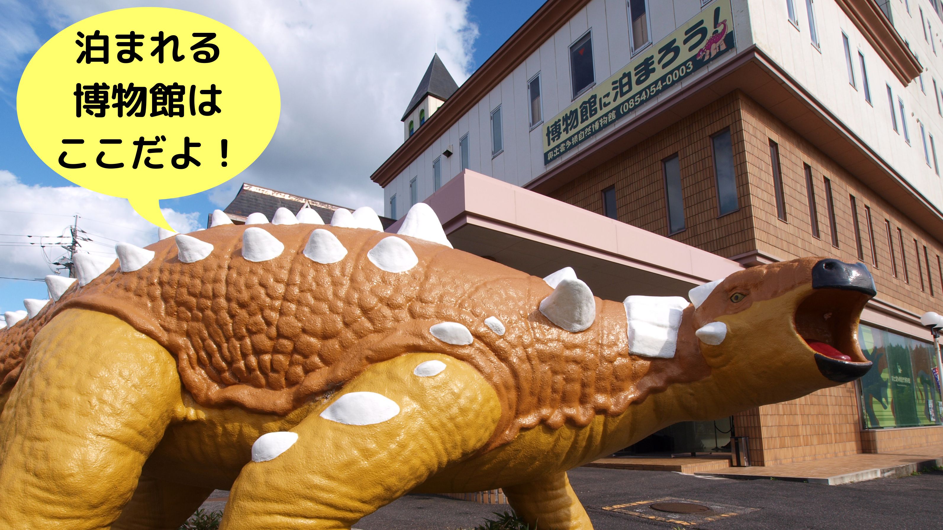 全国唯一の泊まれる自然史博物館です