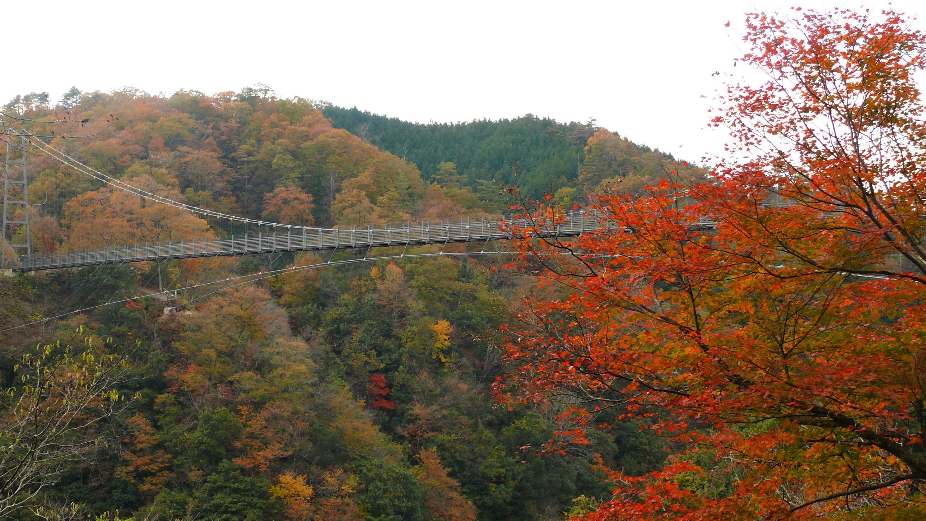 【鬼の舌震・恋吊り橋・秋】