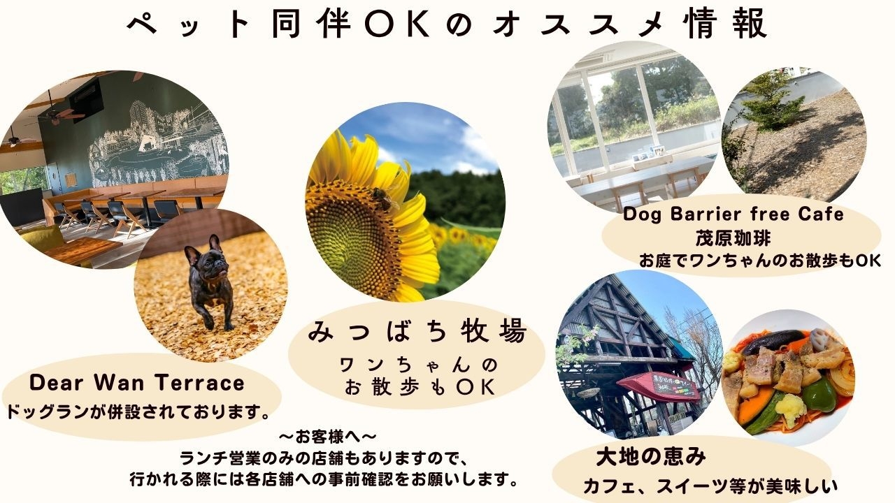【 ペット同伴　事前決済 】★小型・中型犬どちらか１匹まで同伴OK　楽天ポイント１０倍アップ！！
