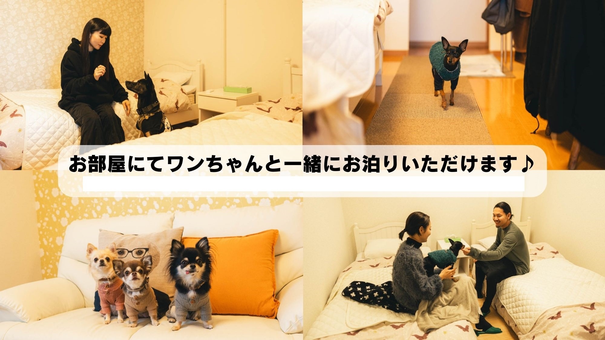 【 ペット同伴　事前決済 】★小型・中型犬どちらか１匹まで同伴OK　楽天ポイント１０倍アップ！！