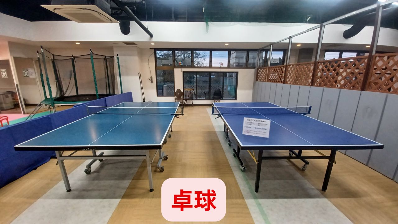 充実のプライランド　卓球もできます。