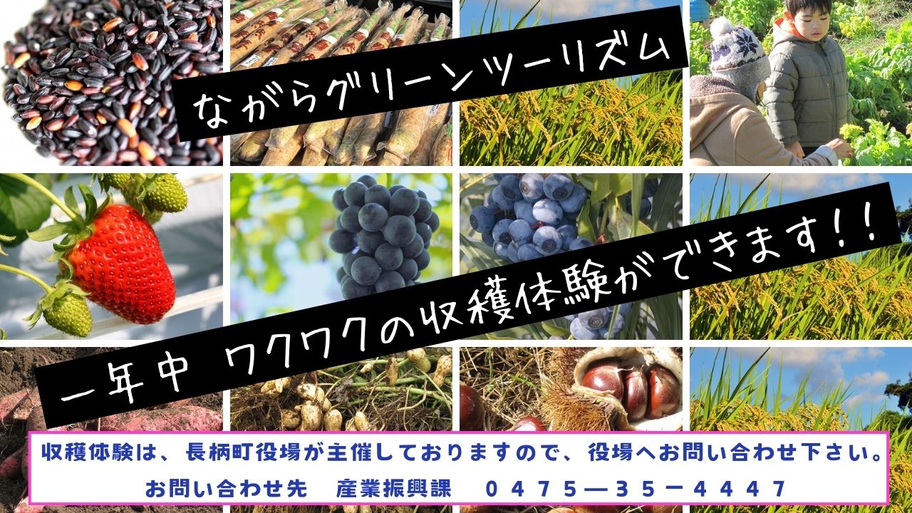 ながらグリーンツーリズム