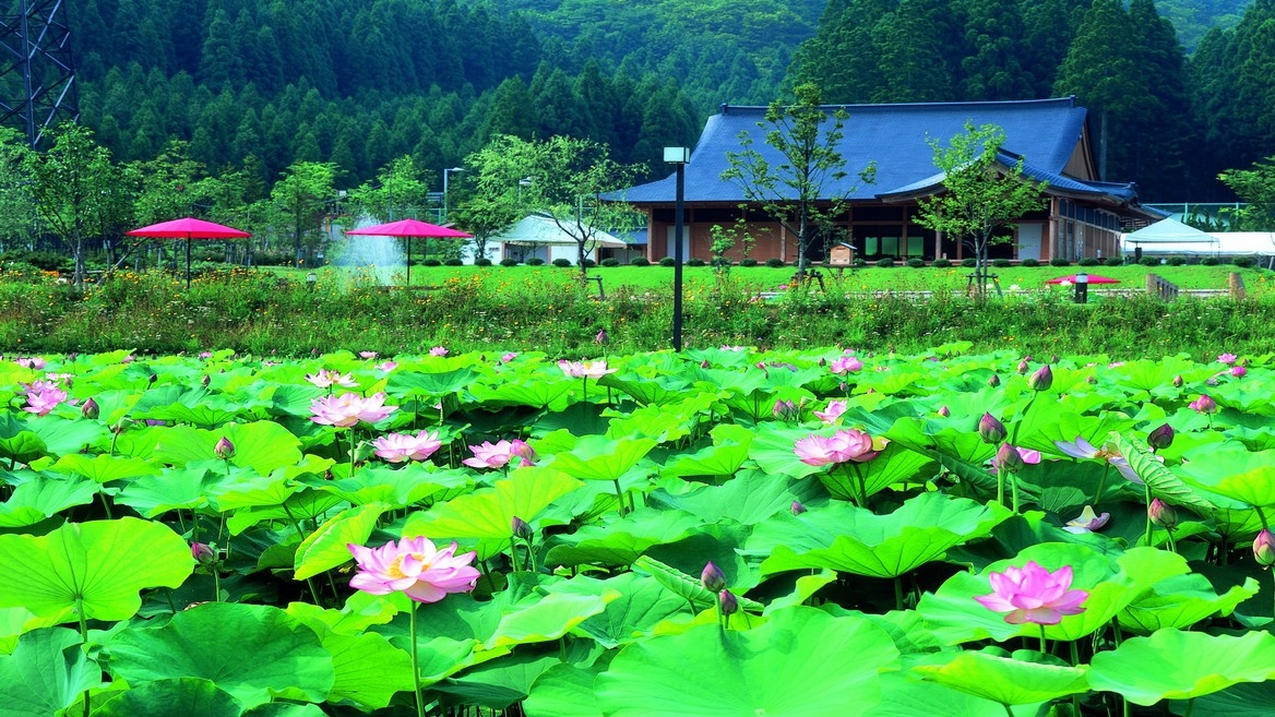 【夏休みファミリー｜2食付】手持ち花火＆駄菓子プレゼント♪楽しい夏休みを応援＜華やぎ会席＞