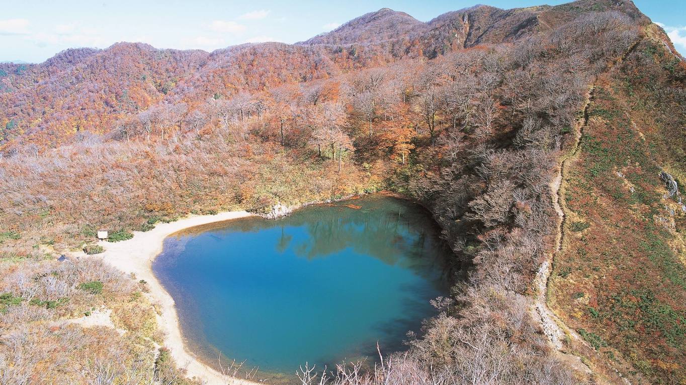 【松茸釜飯御膳＆嬉しい天ぷら盛合せ】気軽な旅にぴったり〇秋の味覚と越前おろしそば＜2食付＞