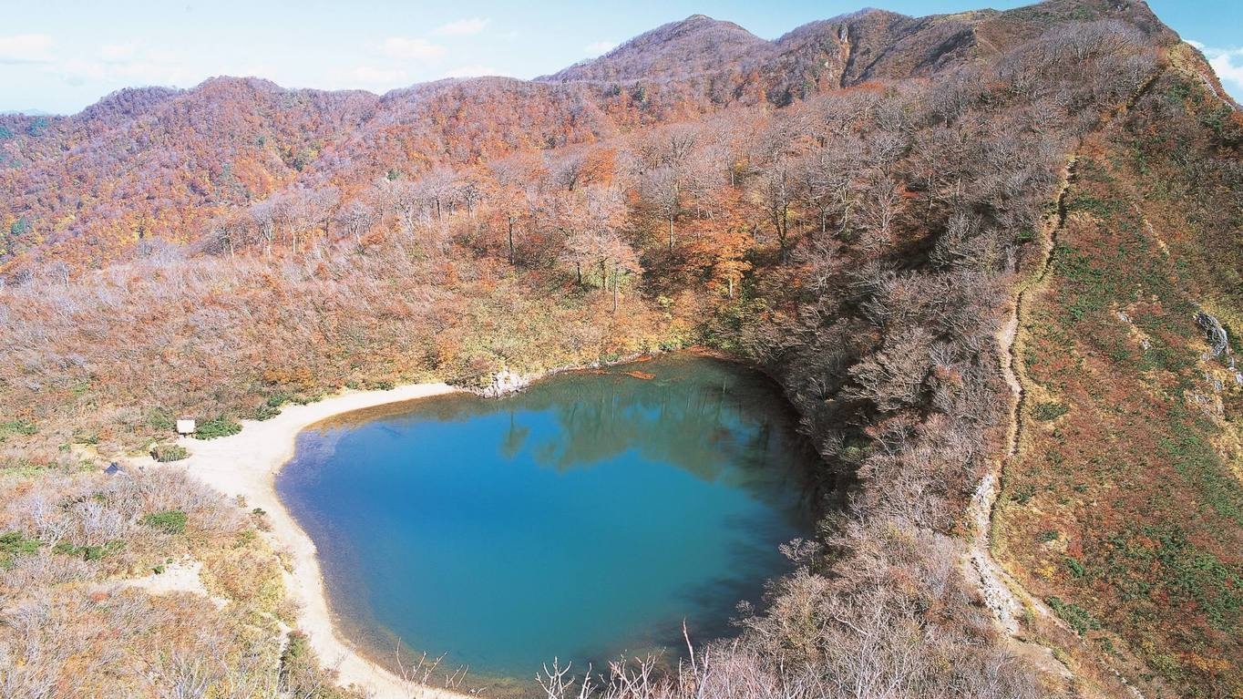 【松茸釜飯御膳＆嬉しい天ぷら盛合せ】気軽な旅にぴったり〇秋の味覚と越前おろしそば＜2食付＞