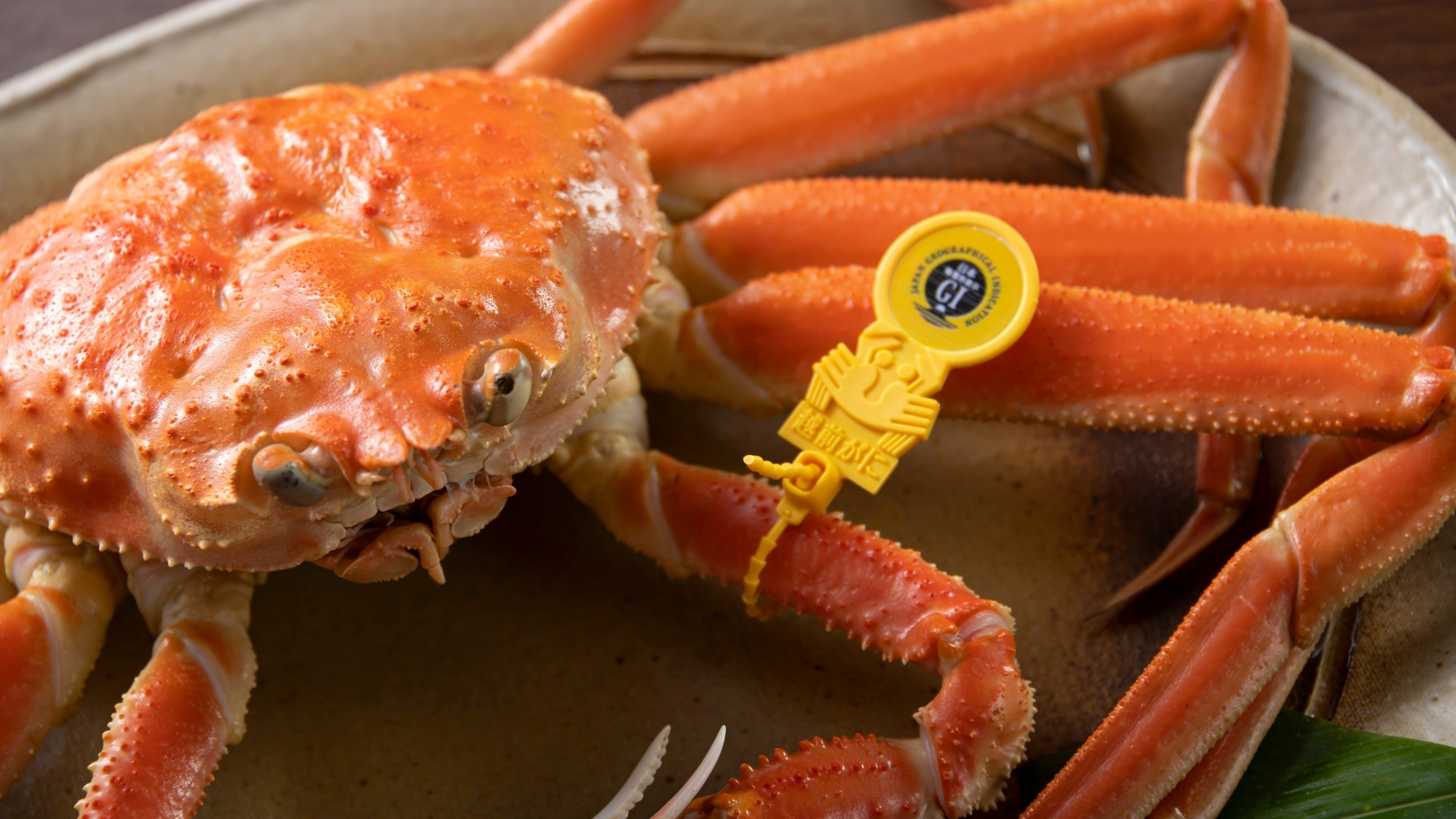 越前ガニは黄色いタグが目印！