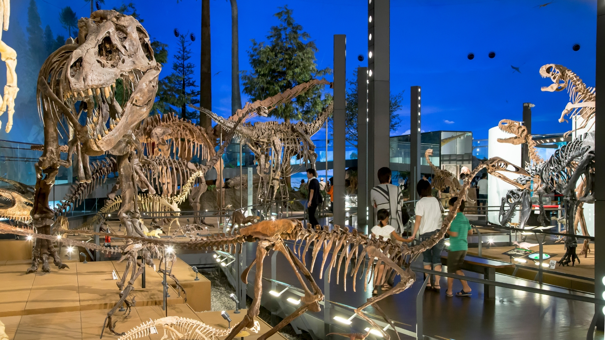 2023年夏リニューアルオープン「福井恐竜博物館」までお車で約1時間