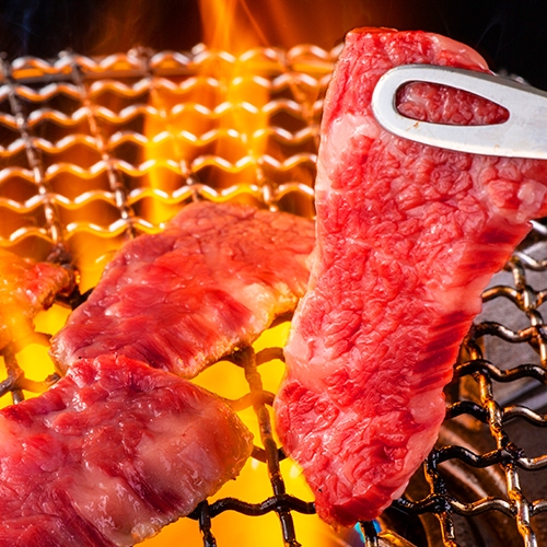 【肉好きに捧げる】熊野牛・梅豚・みかんどり紀州ブランド肉を食べ比べ＜ブランド肉BBQ：朝夕付き＞