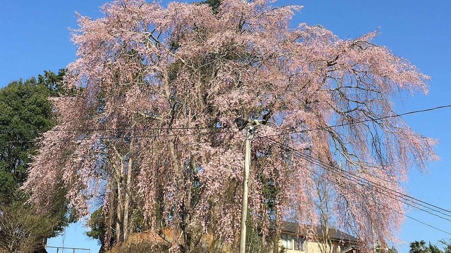 ・施設からの景色（一例）