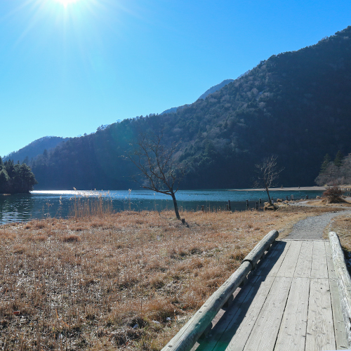 *[湯ノ湖遊歩道]奥日光の中心にある湯ノ湖は、約60分で一周できます。（当館から徒歩約2分）