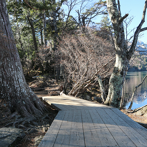 *[湯ノ湖遊歩道]当館からすぐの場所にあり、気軽に散策できるお散歩コース。