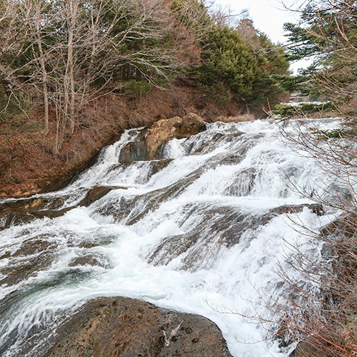 *[竜頭の滝]奥日光地域を代表する滝の一つ。（当館から車で約10分）