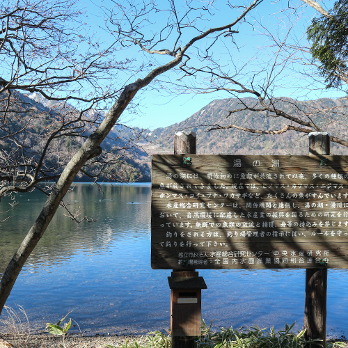 *[湯ノ湖遊歩道]対岸までは徒歩で約10分。静かな湖面を眺めてのんびり。