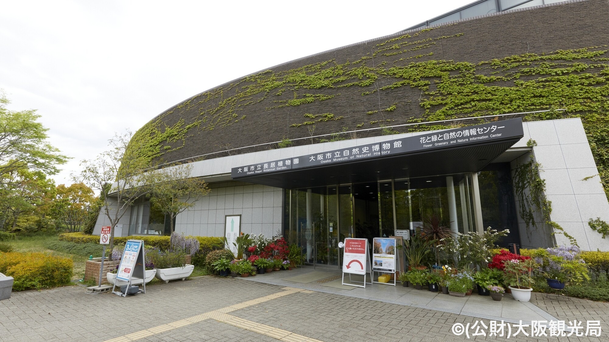 【周辺・観光】大阪市立長居植物園／ヤンマースタジアム長居_