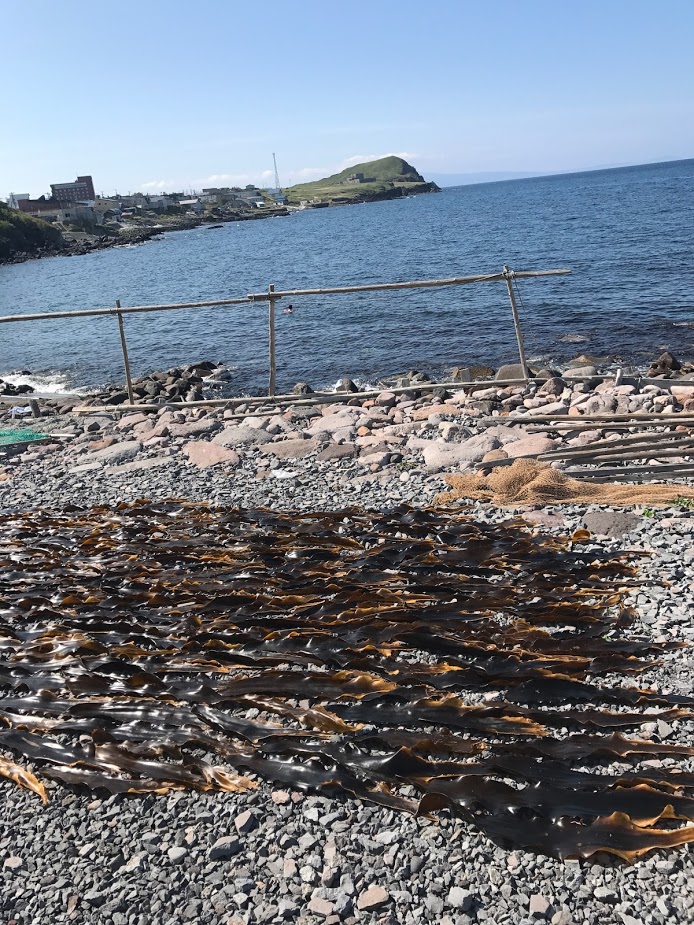 当館裏の海岸