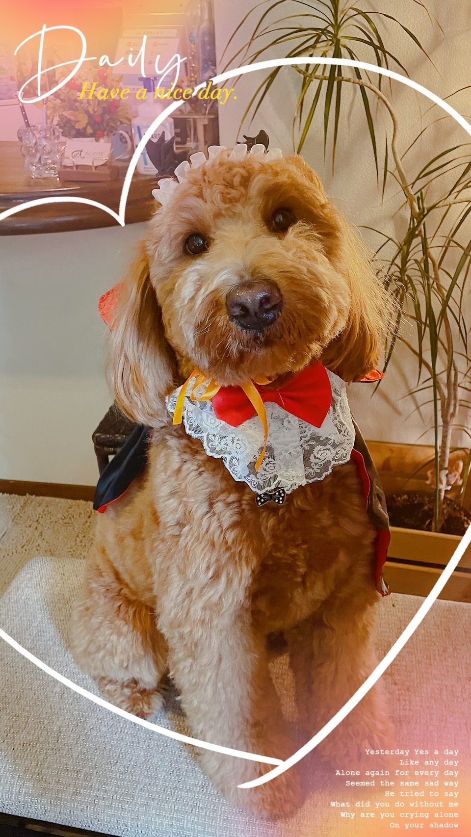 看板犬　トッポ