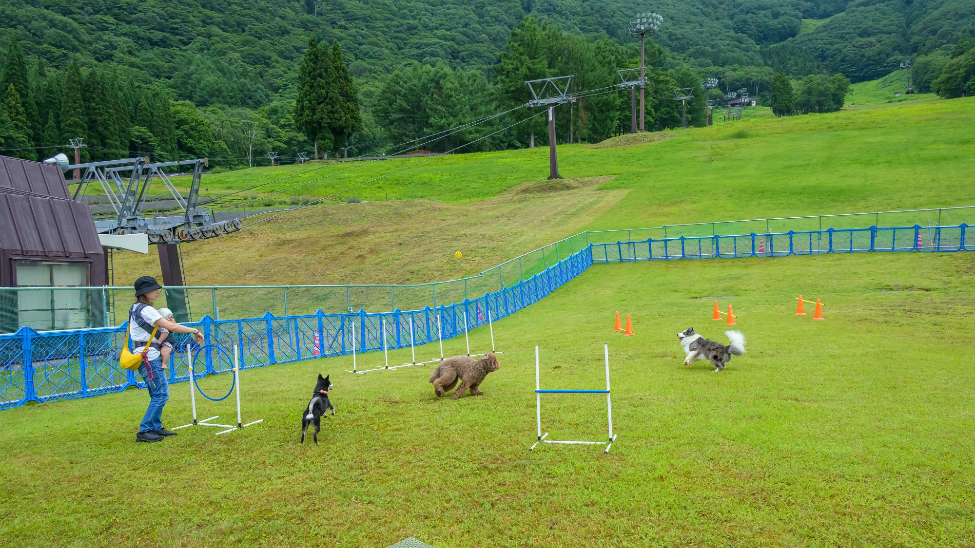 【ドッグパーク】愛犬が自由に駆け回る姿を見ながら、楽しいひとときをお過ごしください。