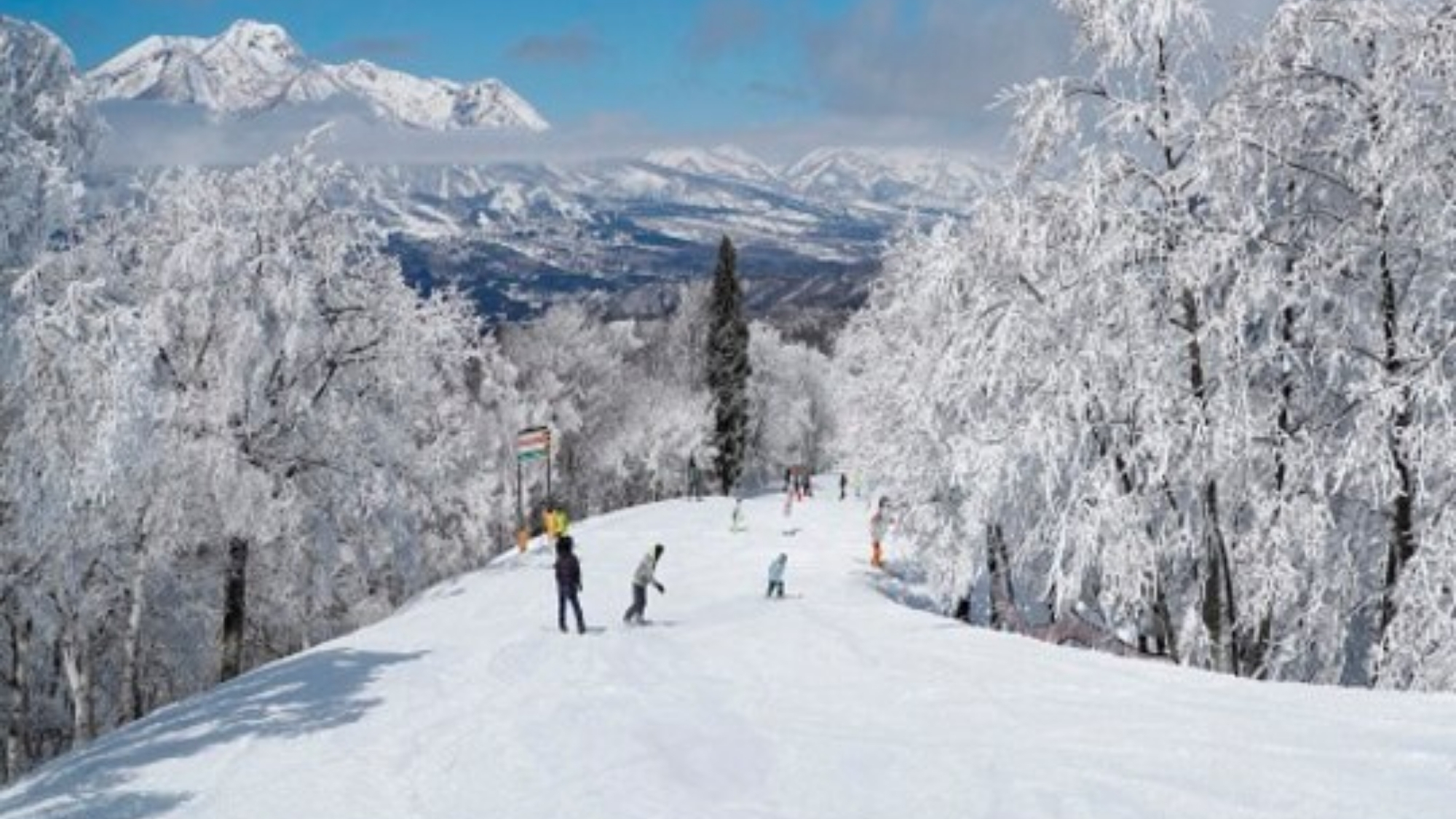 フォレストラインからは雄大な妙高山♪