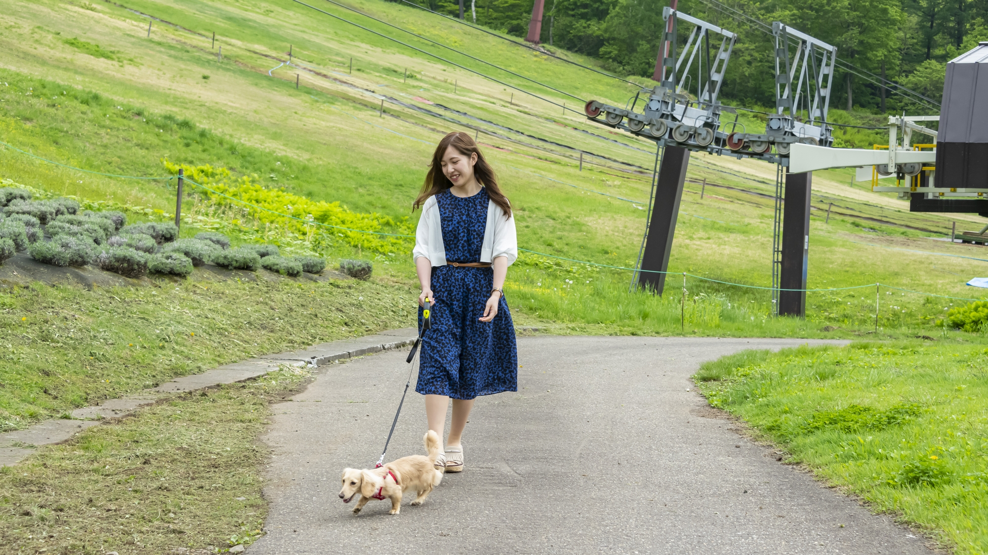 さわやかな風に吹かれて楽しいお散歩♪