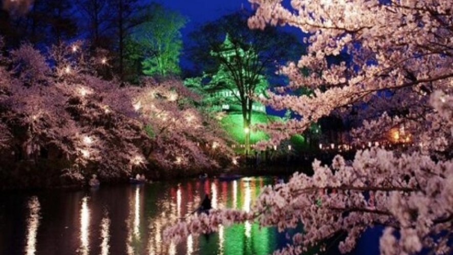 日本三大夜桜の一つ【高田城址公園】　お車で約50分