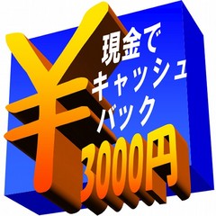 ｷｬｯｼｭﾊﾞｯｸ3000円