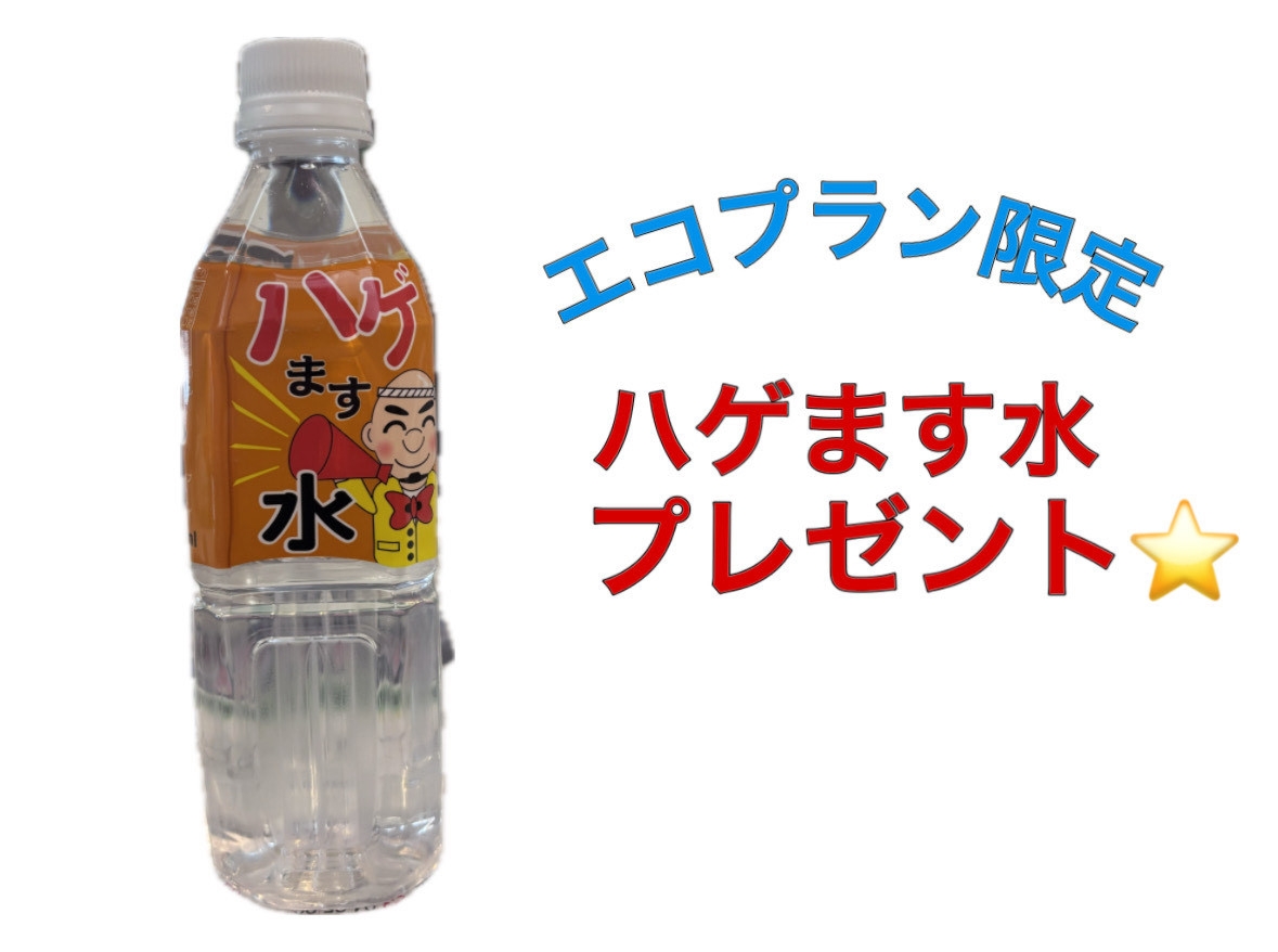 【2食付】連泊限定エコプラン