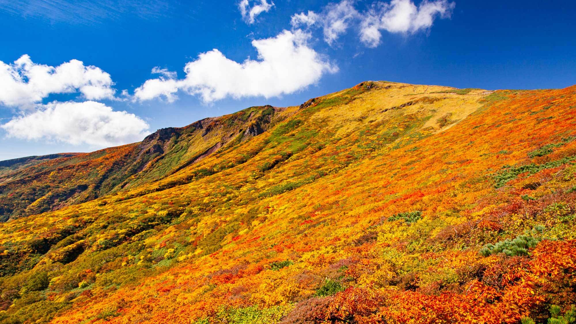 【栗駒山登山】木金土限定★登山口＆駅送迎付！トレッキング【夕朝食付プラン】