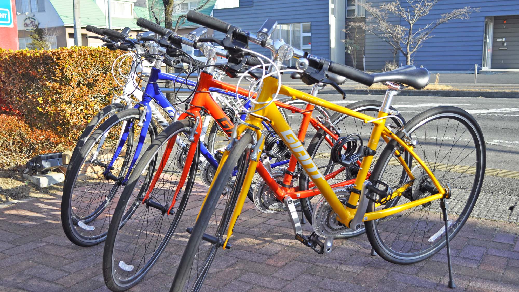 【レンタルサイクル】ベストセラークロスバイクのGIANT-ESCAPEを4台ご用意しております。