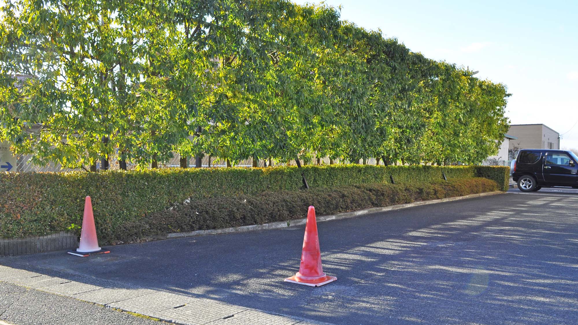 【大型車両駐車スペース】大型トラックや観光バスなど専用駐車スペース。事前ご予約（有料）