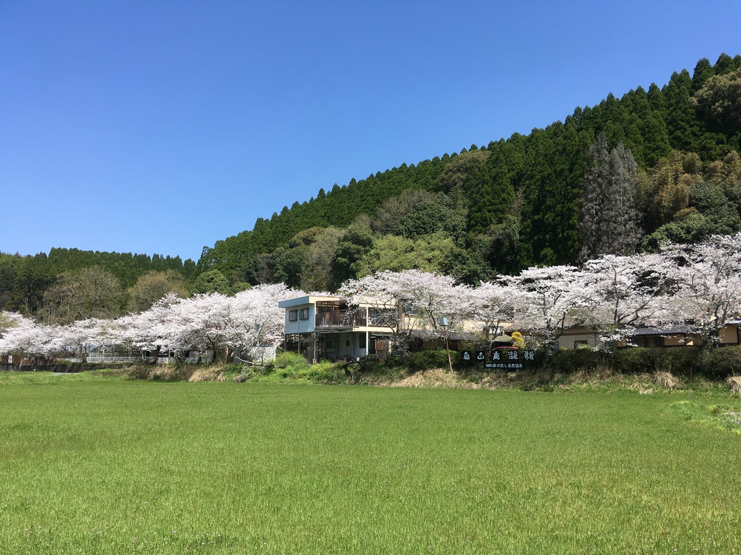 写真1