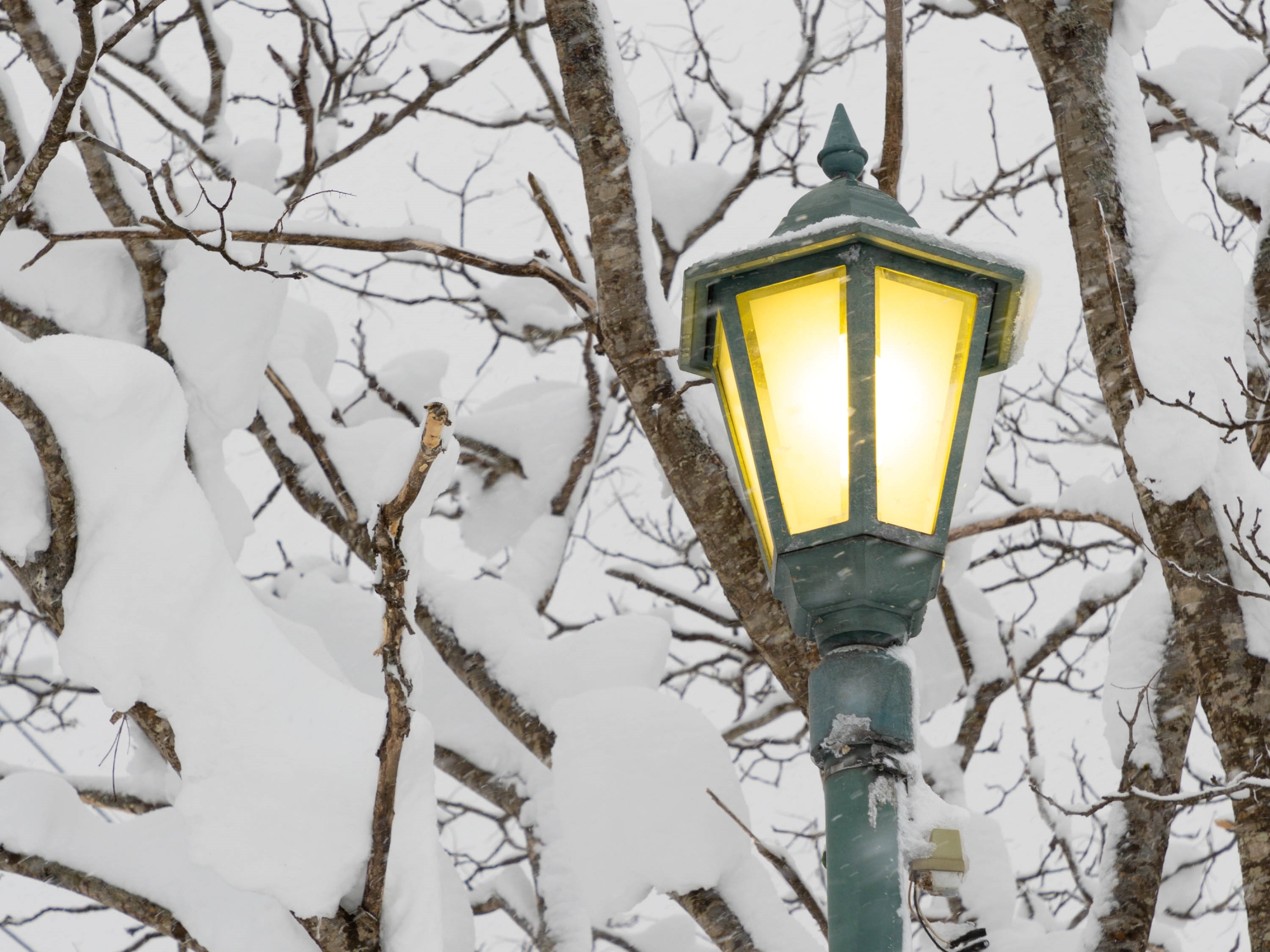 【外観】あたたかな外灯とご一緒に皆さまをお出迎えいたします。