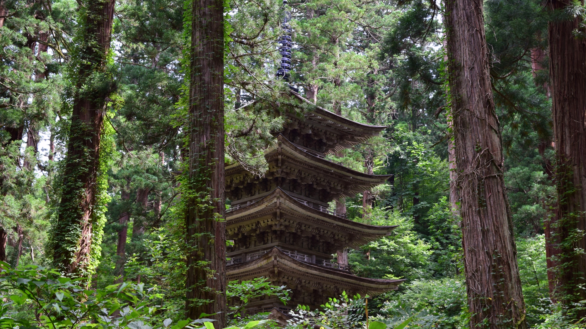 【周辺観光】山形県「羽黒山」(当館よりお車90分)