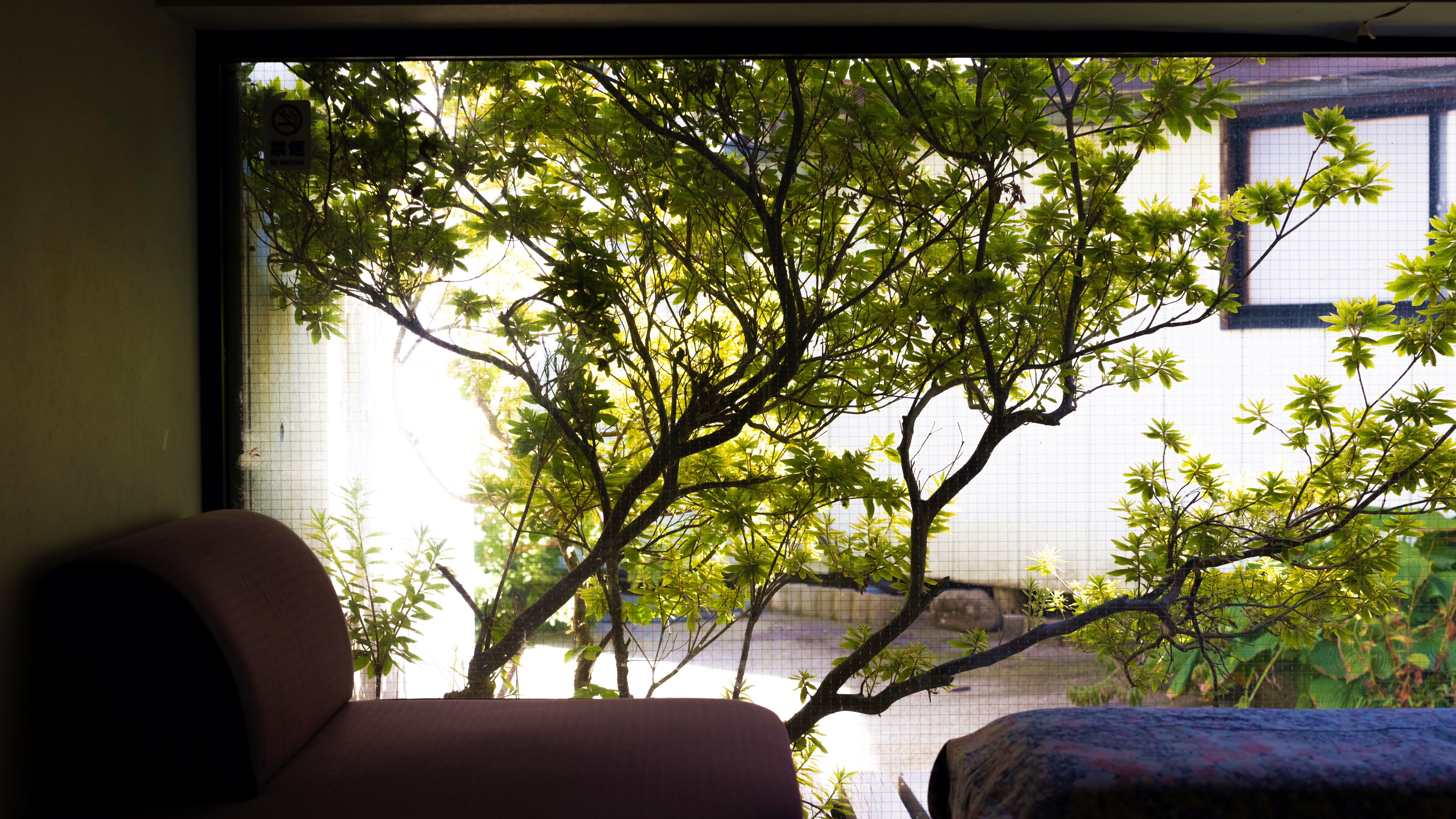 【館内】何もしない贅沢を愉しむ。